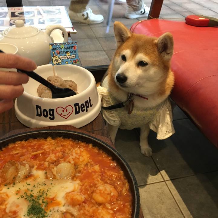 A1f19791 a0d7 4488 a306 2bb0c20f691f