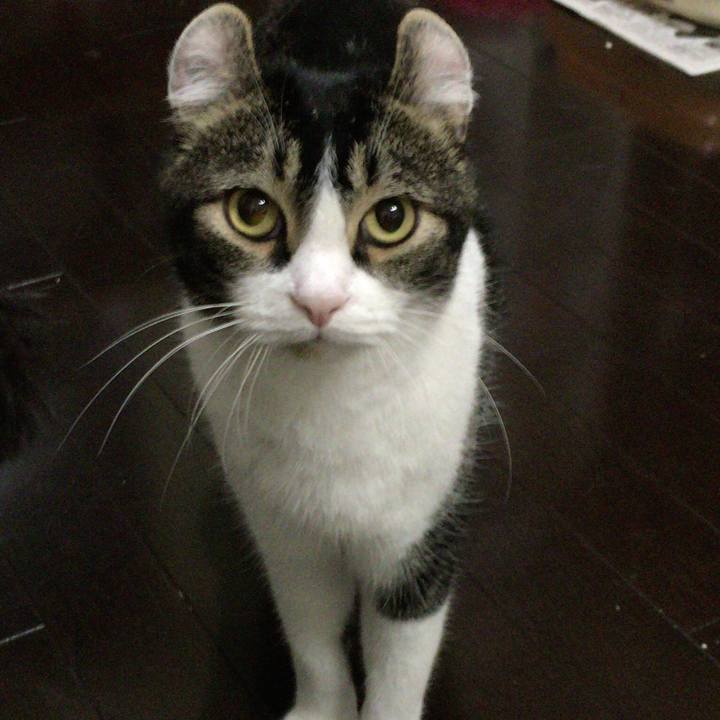 A1f1edc1 6405 4b8f ba38 9be31846816e