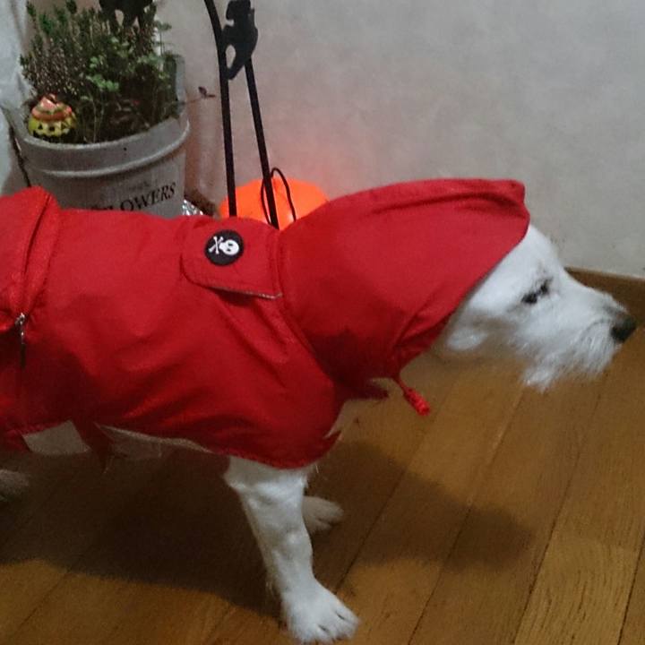 A1f2b270 3782 4a11 9cbe 3d03d04f586d