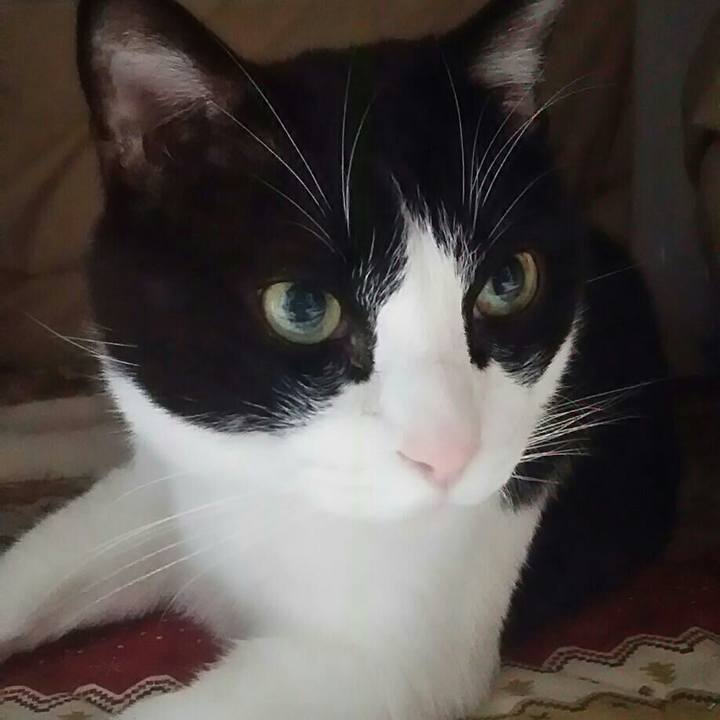 A1f3cdec ba56 4de8 9352 a5b39b99cd98