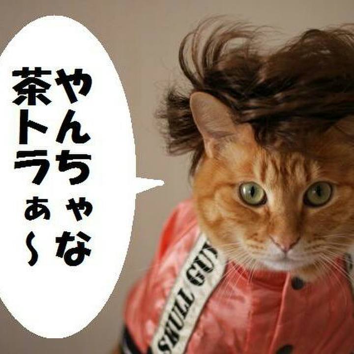 A1f42da7 5b31 4db2 a90f 55324faad4e4