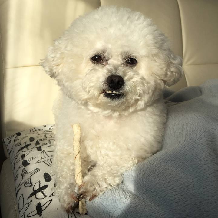 A1f466d0 dd73 4984 a2da 36a355e5a4a5