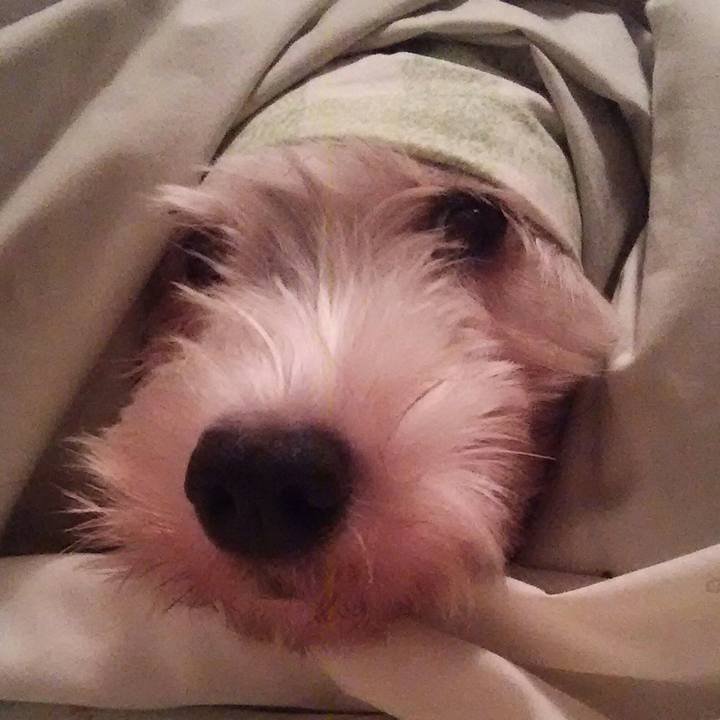 A1f4b150 57ae 48f8 a9cf 7da9a28636d7