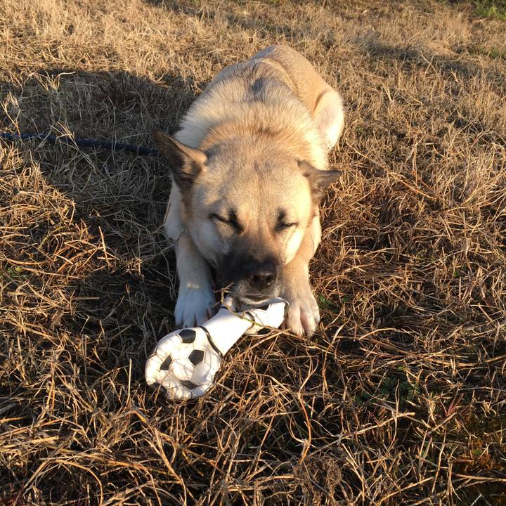 A1f4d3ce 7a45 4c76 8af6 1ab3ba41db9d