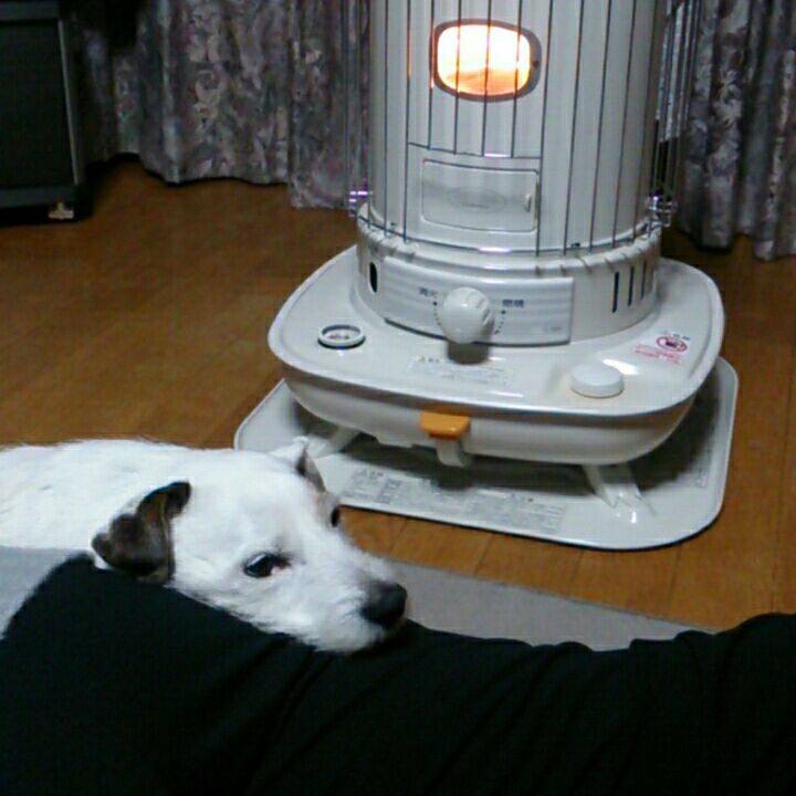 A1f5bc04 5e7a 45f9 a261 8b62b0a066f6