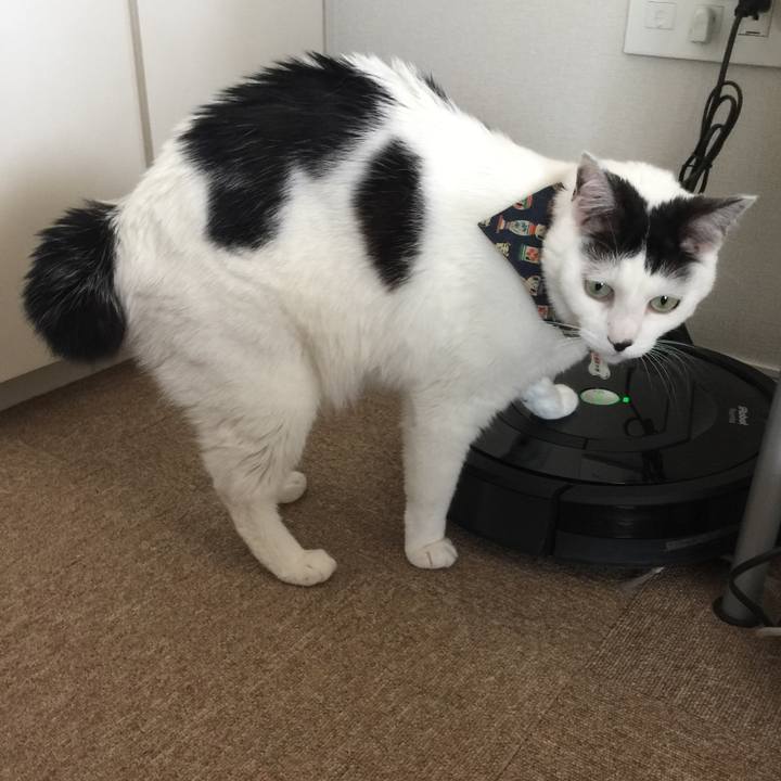 A1f60e7a 5146 47d0 80e5 8ff76eaa1f51