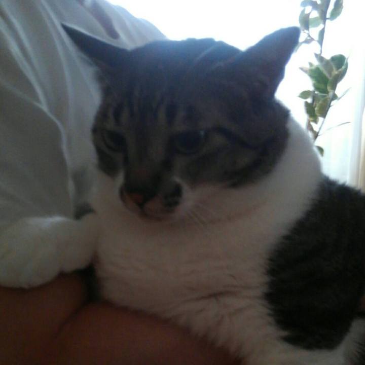 A1f69c7a 3e8e 4e89 90aa a76dafe4957c