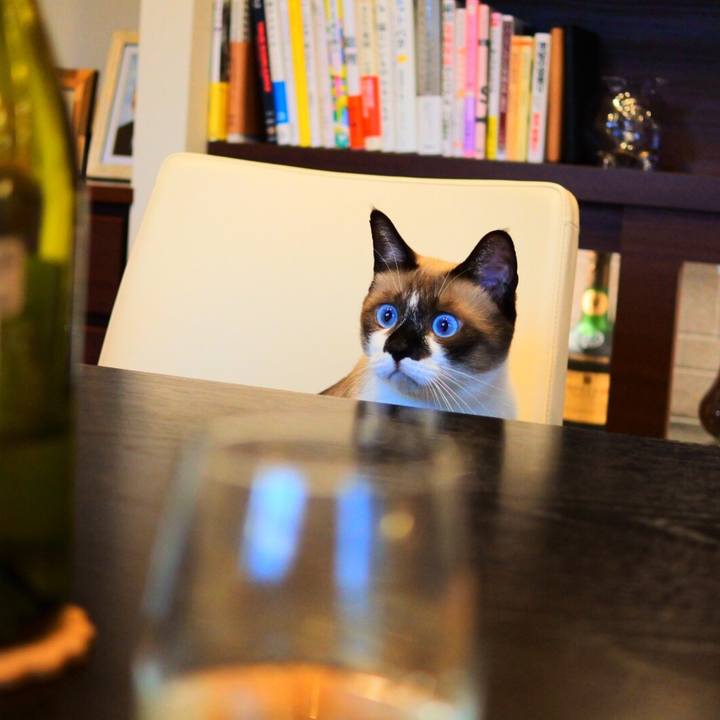 A1f6d932 b76e 42d7 be50 508ef7dfb6ca