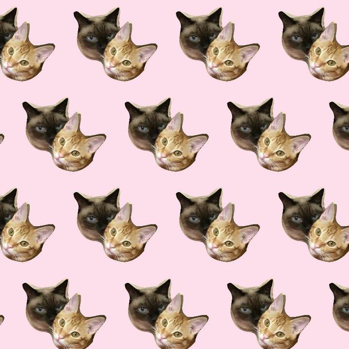 A1f70fd3 a78b 433a 8a08 04a2b6968677