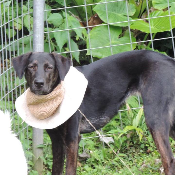 A1f827e6 4faf 4d9c b758 df39c3ce7557