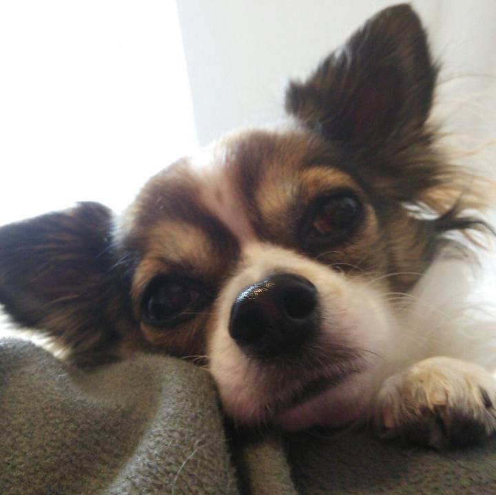 A1f8469e 93bc 42db 9d9a 4454b35d00b3