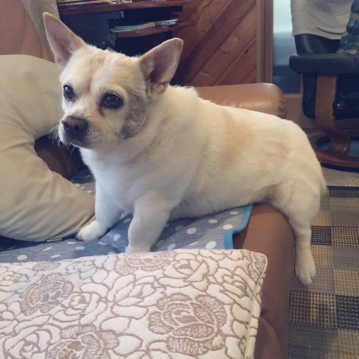 A1f853aa b51b 4b6d 885f 7c91bb1b2f9f