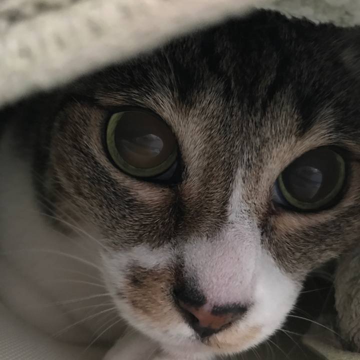 A1f90bce 9d4d 4b01 8647 ef1ddf23679f