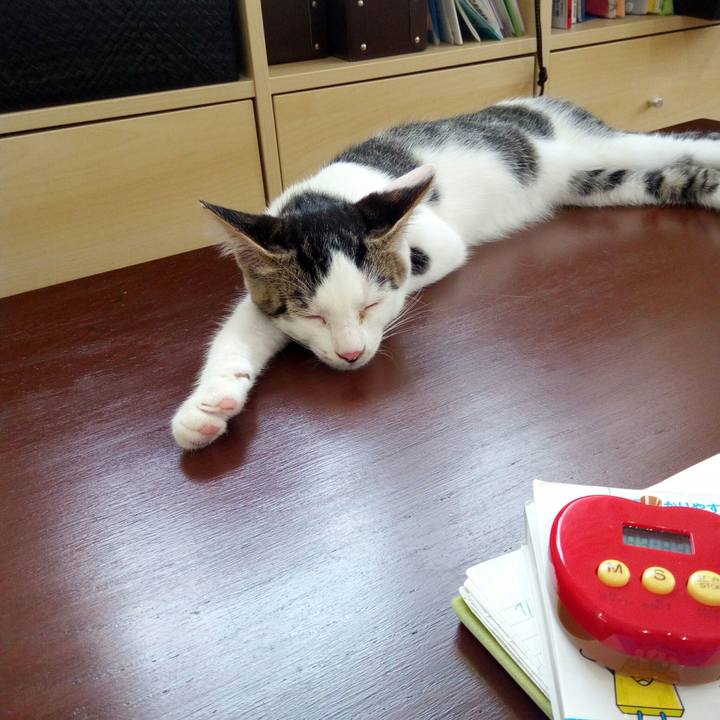 A1f94290 c639 4bdb a169 4d36fe6e9428