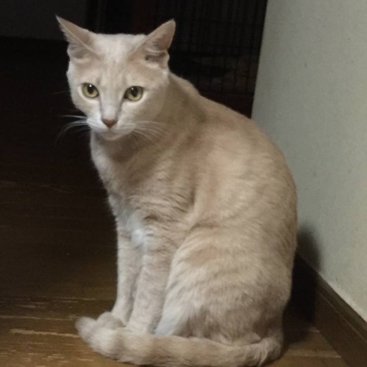 A1f9b9a0 a54d 40a3 830a 5662c9d54324