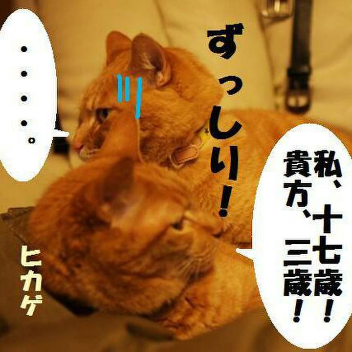 A1fa279b 9ed9 445d 805f 13fb5f16e394