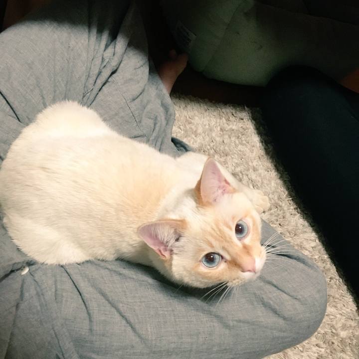 A1fb9bca d4a7 4ce8 be0f 46241750b4a5