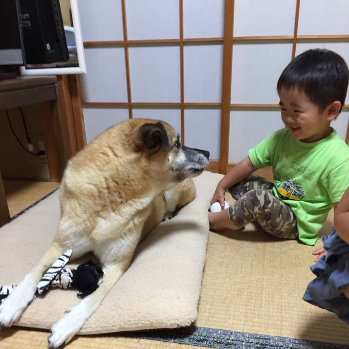 A1fba2f1 7579 47e5 9199 e989425c588b