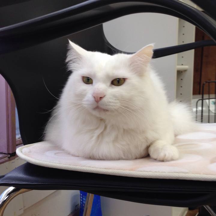 A1fba465 08a4 4060 a007 b58864a96816