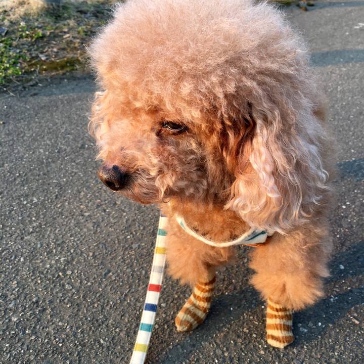 A1fbafd1 cb4d 49bc 8d28 0000cdc0ff3d