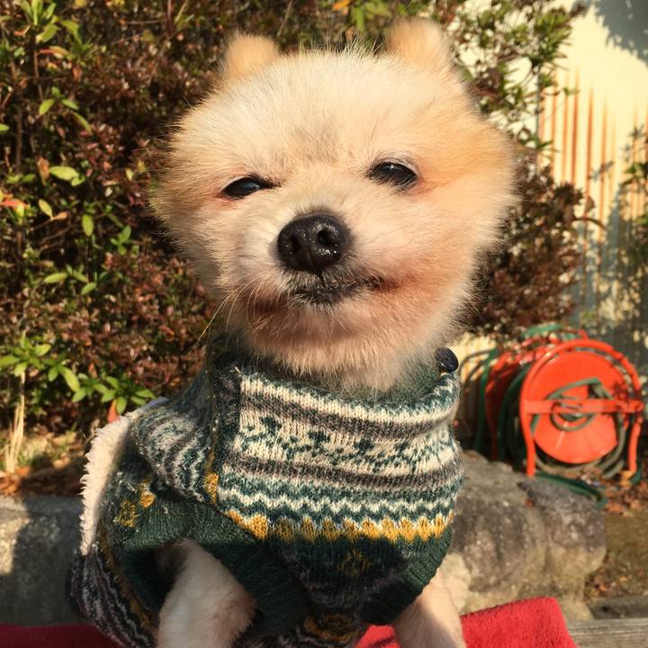 A1fbeed4 e8b3 42fc a110 16ccc60e7db5