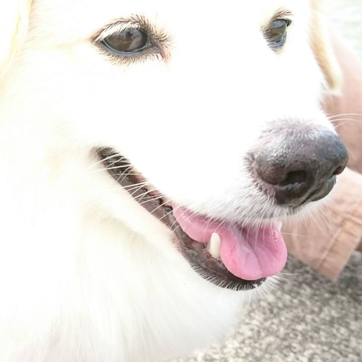 A1fcaa72 ea45 444a b75e 92426fde97a4