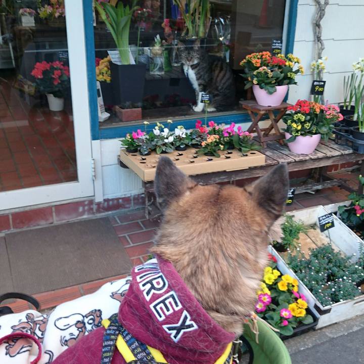 A1fe3216 f0db 4e33 b75e 9482d5b68908