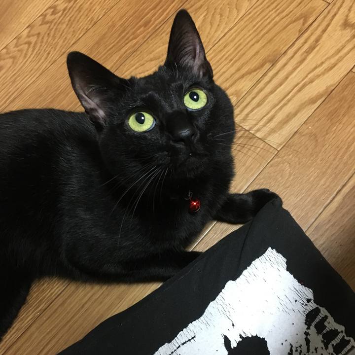 A1fe4733 4b95 45f9 8edf 4b1607e4eb7d