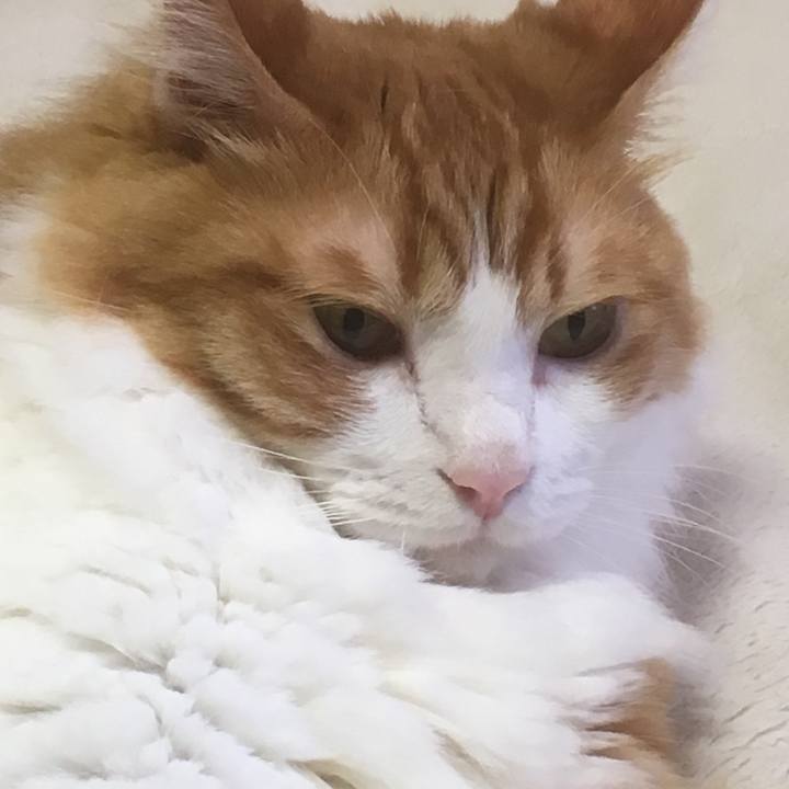 A1fe696a bc17 4a94 b169 12c6217b2a52