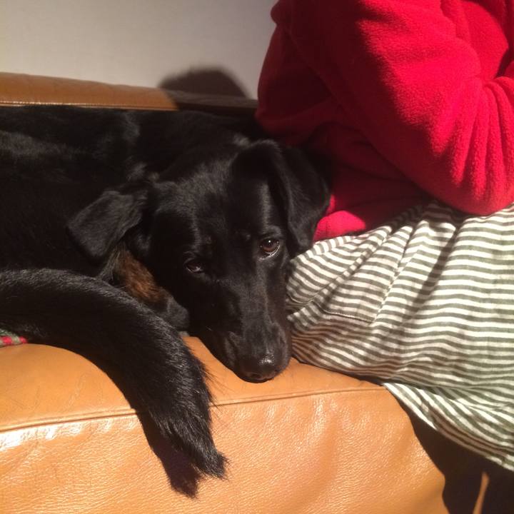 A1fe8402 9c8b 42ee b1b8 3fda643aeed7