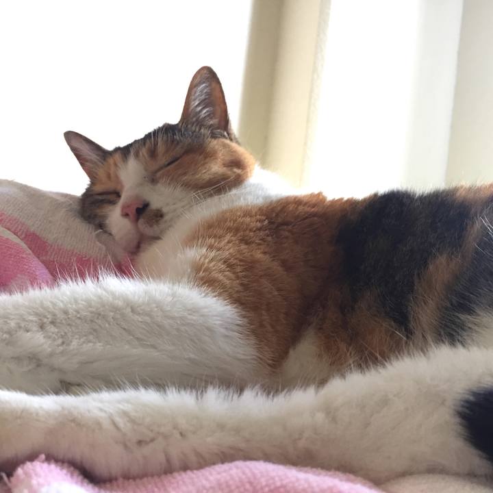 A1feb4c6 ade5 4580 8e56 5894944d199a