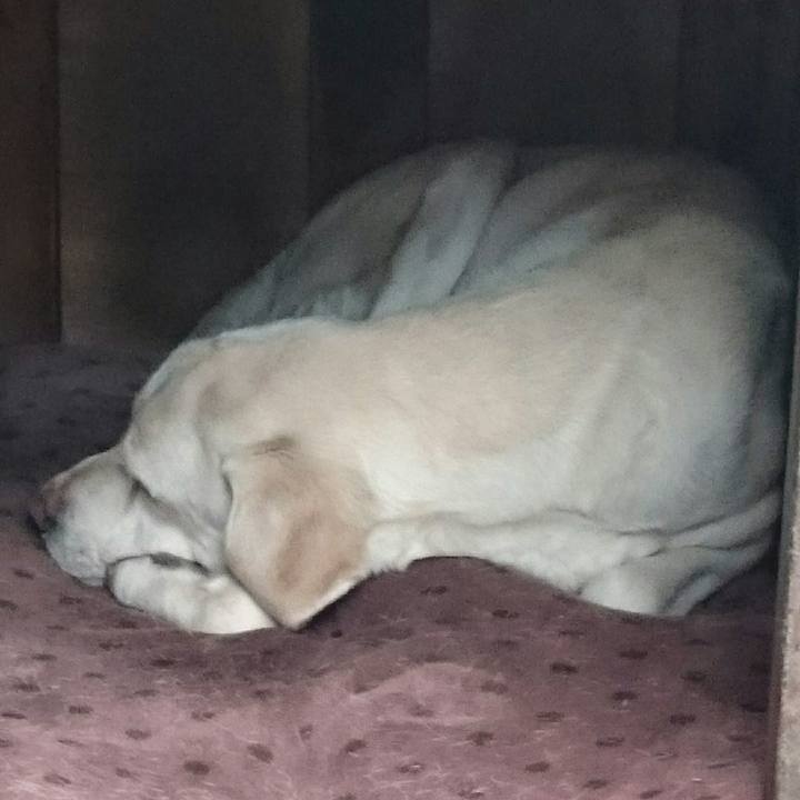 A1ffcbbc b813 4a5e afab 933f178c1274