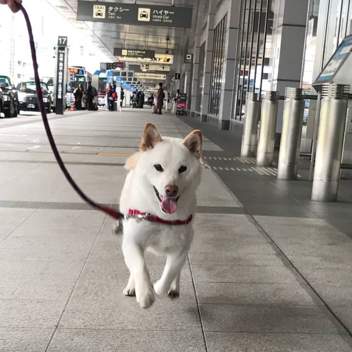 A2003a0a 4fc0 44fa 88ce e98f0294c48f