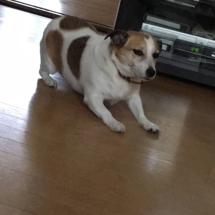 A2003e75 28eb 456a 8b9e f98e14d9ab2f