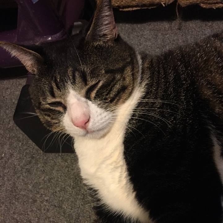 A20087cc e3a2 4487 82d3 28f29b5c87ac