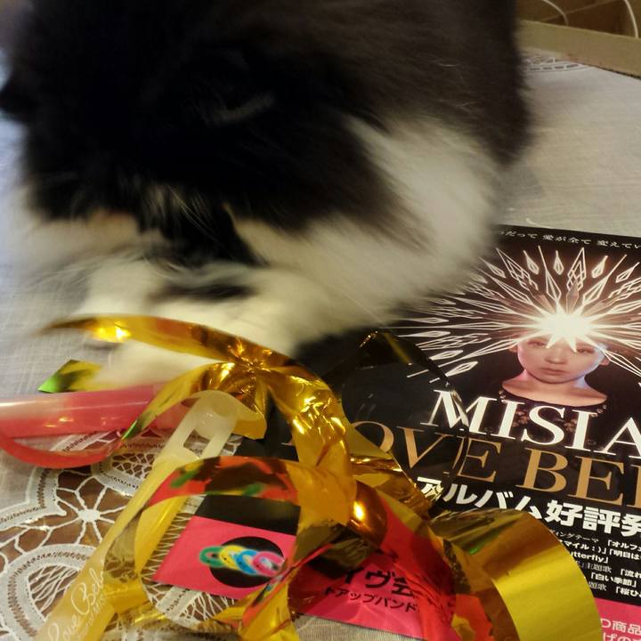 A200c699 ef1e 4cab b2a2 582905e0a458