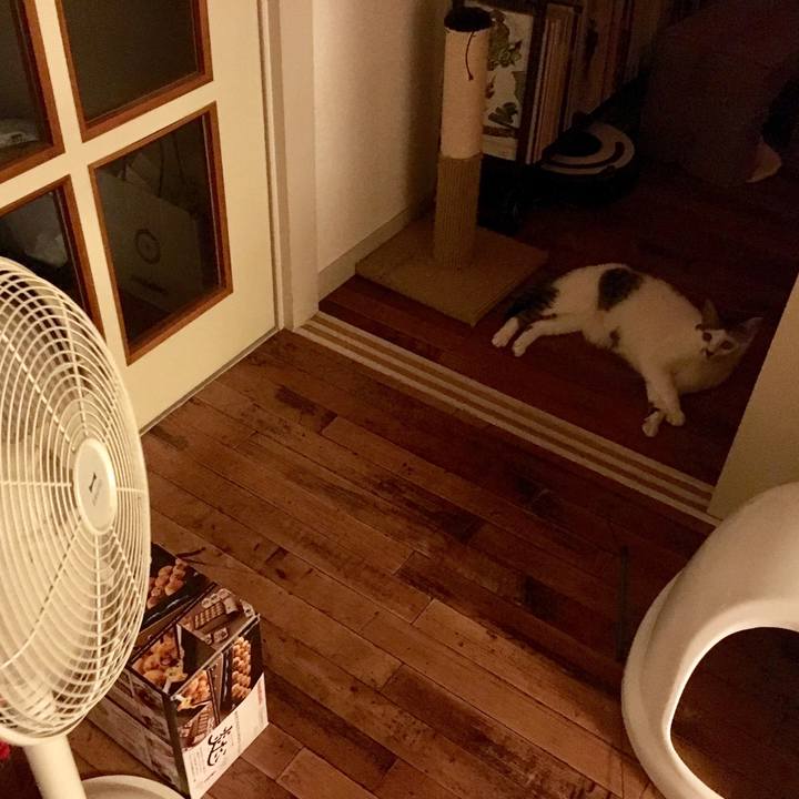 A200fa06 7de1 4db9 9f0f 7f8a04380ecd