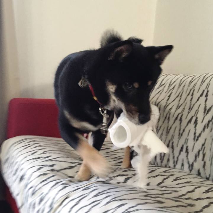 A200fd68 e945 4a3d a302 3ce53e1543a0