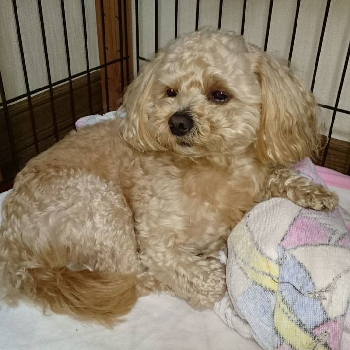 A200febc b636 442b 92c0 fbca16bdde14