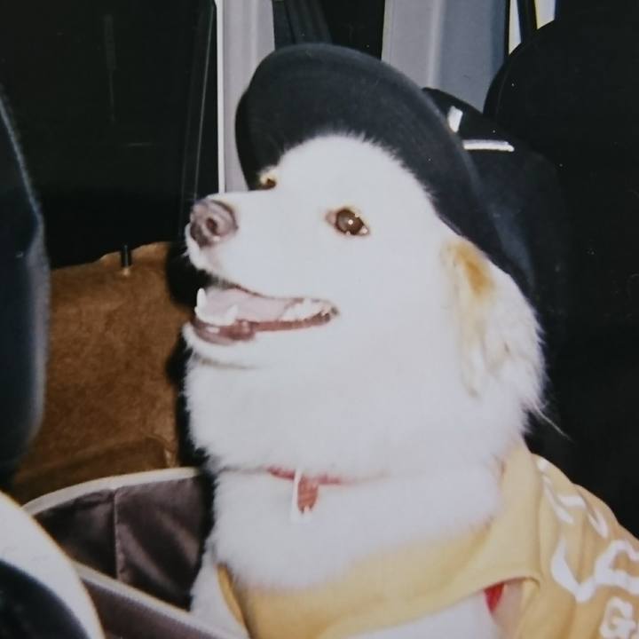 A2015850 acd6 46b9 8984 25e52b8aee71