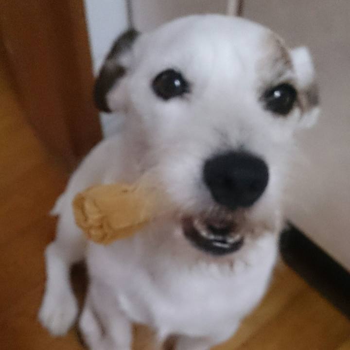 A201606b 1e9b 490f a18a 0b4fed78eca5