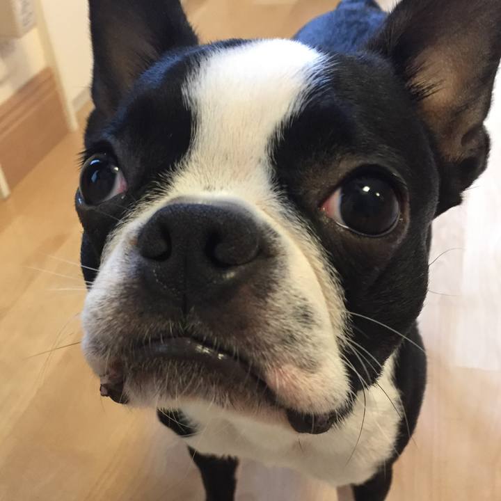 A201ab7f 9bd1 428d b4e8 322141d39f43