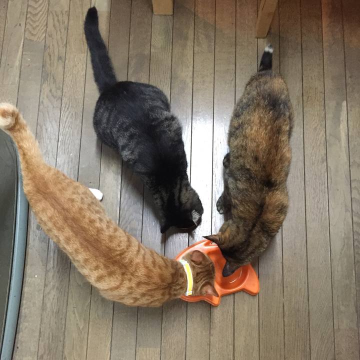 A201be6c f5da 4ebf 8c86 bdf380a21260