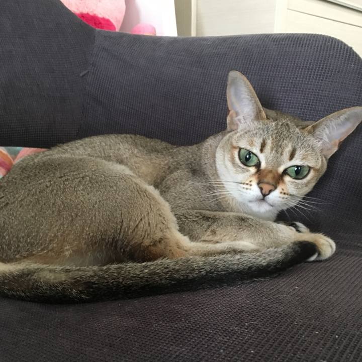 A201c06a 6f87 44b5 8aaa dc0a6024ff3a