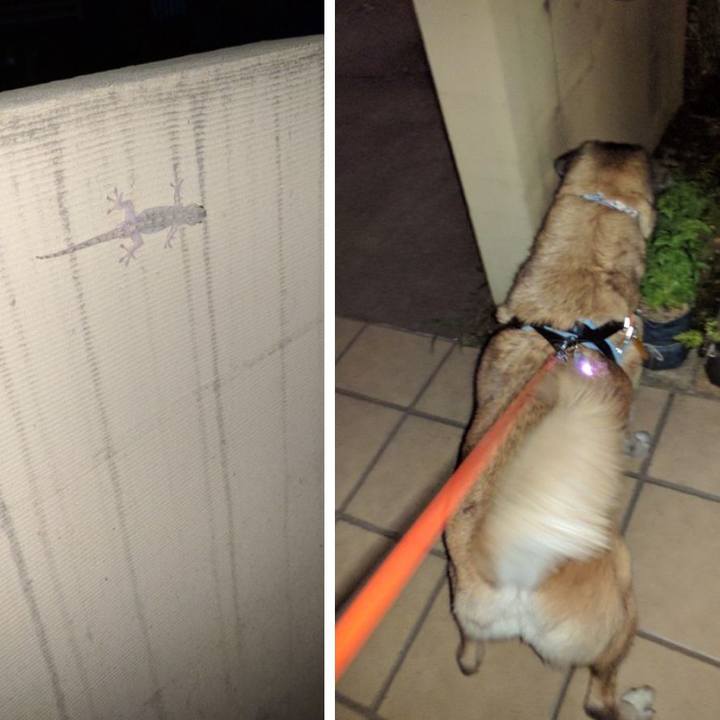 A2020379 827a 4cf9 8421 f3a77400fb26