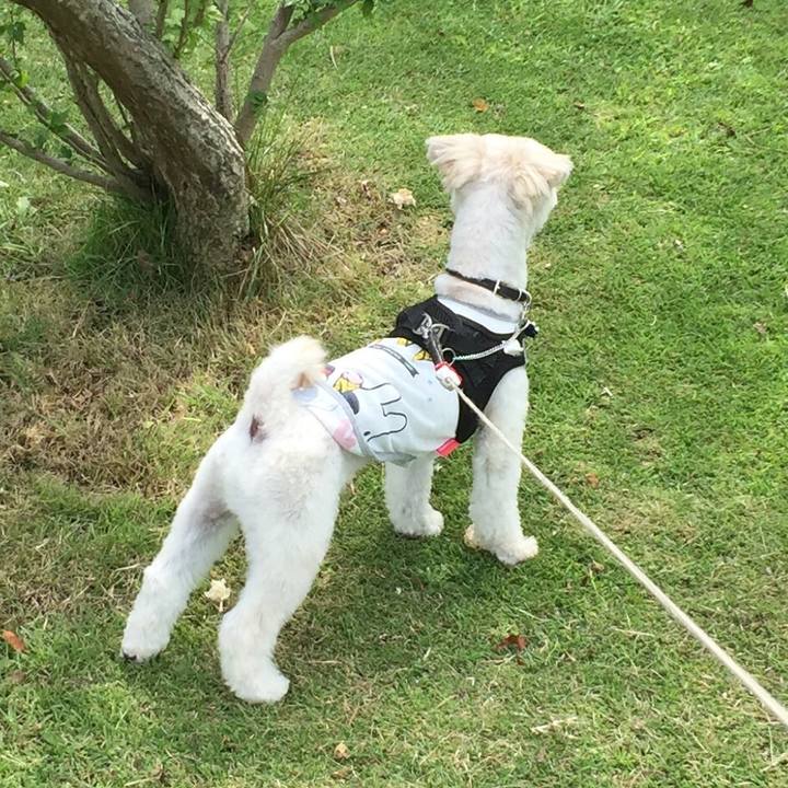 A2023470 ebc2 46d4 a11c 3cbca2008162