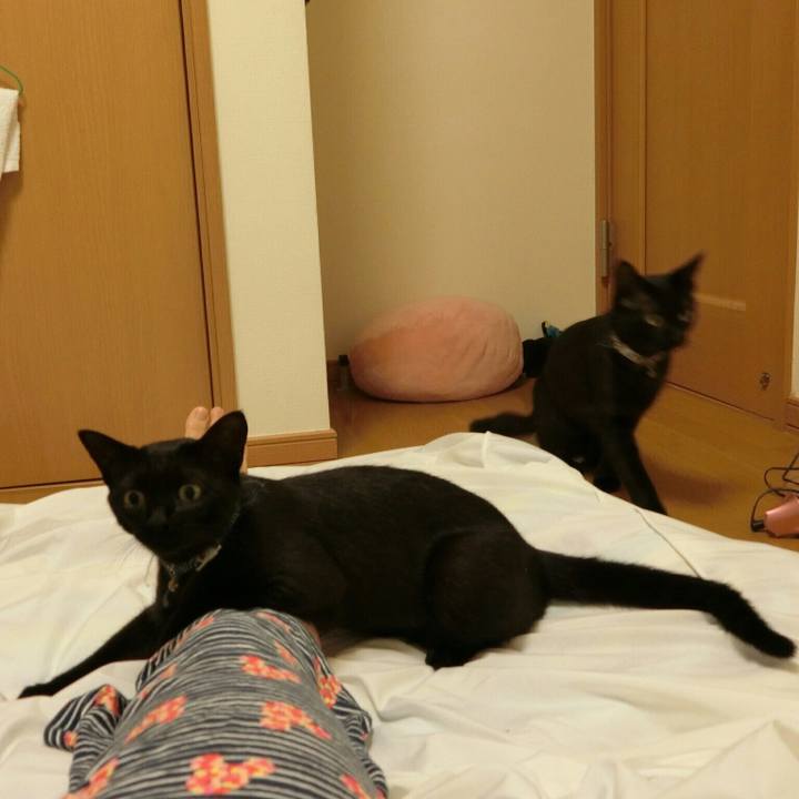 A202379d 57bb 4d42 94c6 02694dabb9c3