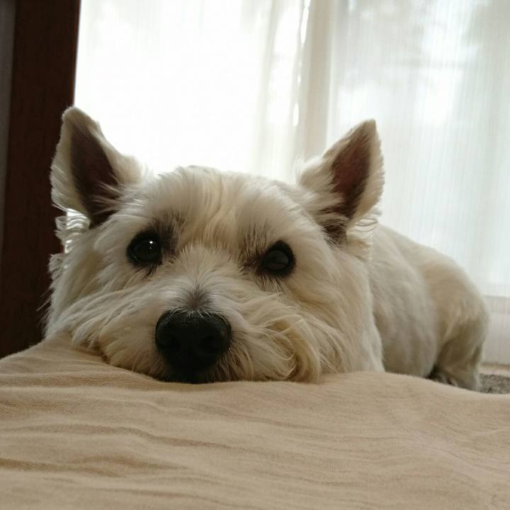 A202abae 62be 485a af33 413f8dd092ef