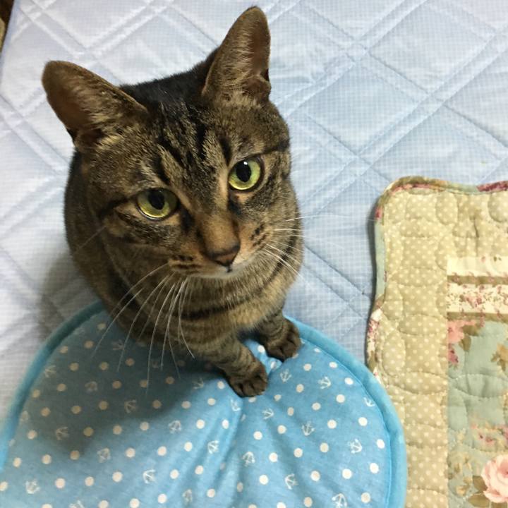 A2034f91 1602 43b4 9956 671965b07166