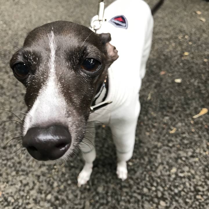 A2037aea 29bf 4761 9dea 9366523c00ce